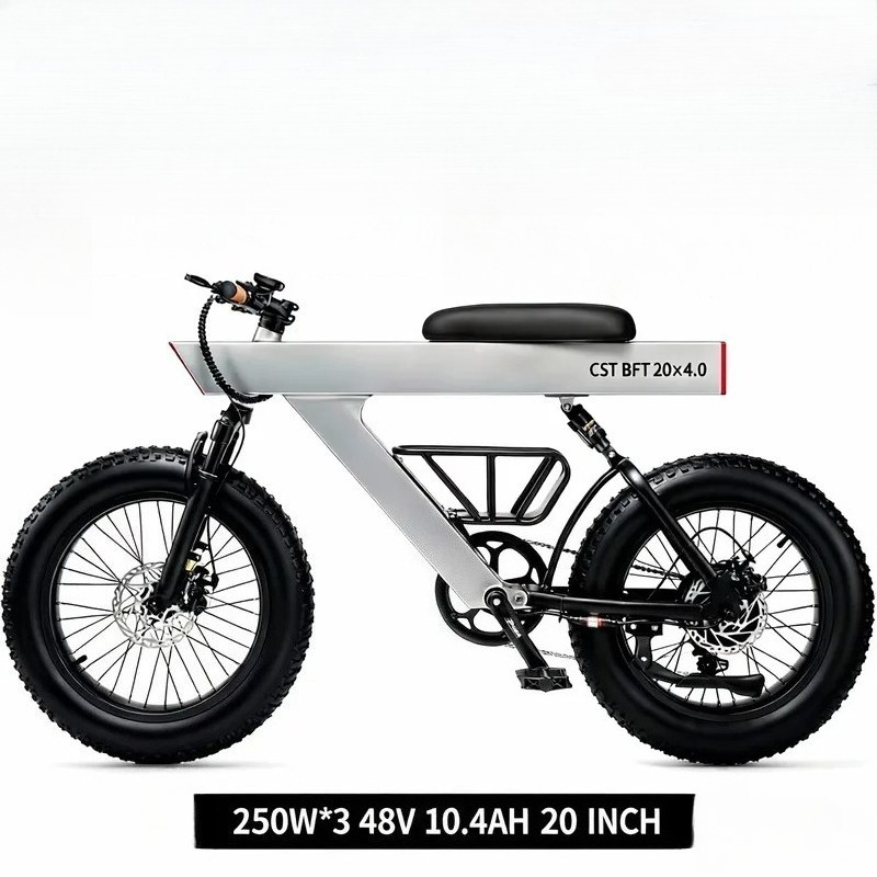 신제품 500W 성인용 전기 자전거 48V 20인치 오 - Road Bike Tire 리뷰 및 가격