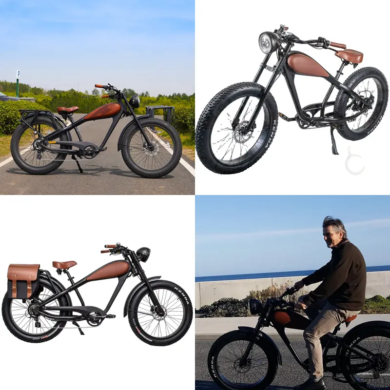 OEM 750W 핫 전기 빈티지 자전거 프로모션 중,  - Road Bike Tire 리뷰 및 가격