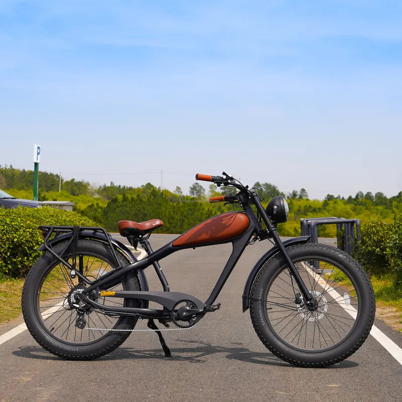 OEM 750W 핫 전기 빈티지 자전거 프로모션 중,  - Road Bike Tire 리뷰 및 가격