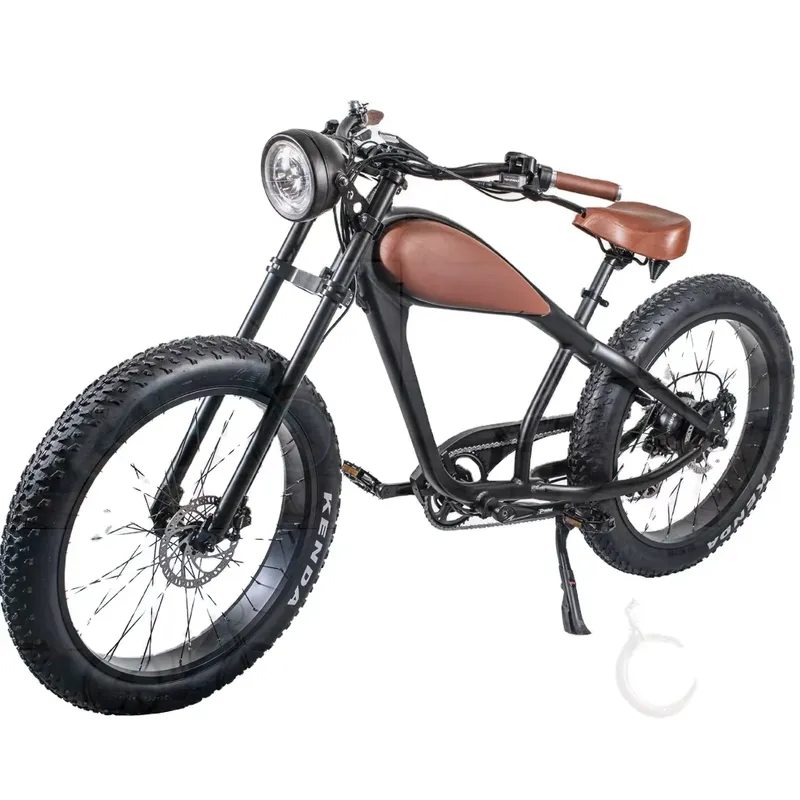 OEM 750W 핫 전기 빈티지 자전거 프로모션 중,  - Road Bike Tire 리뷰 및 가격