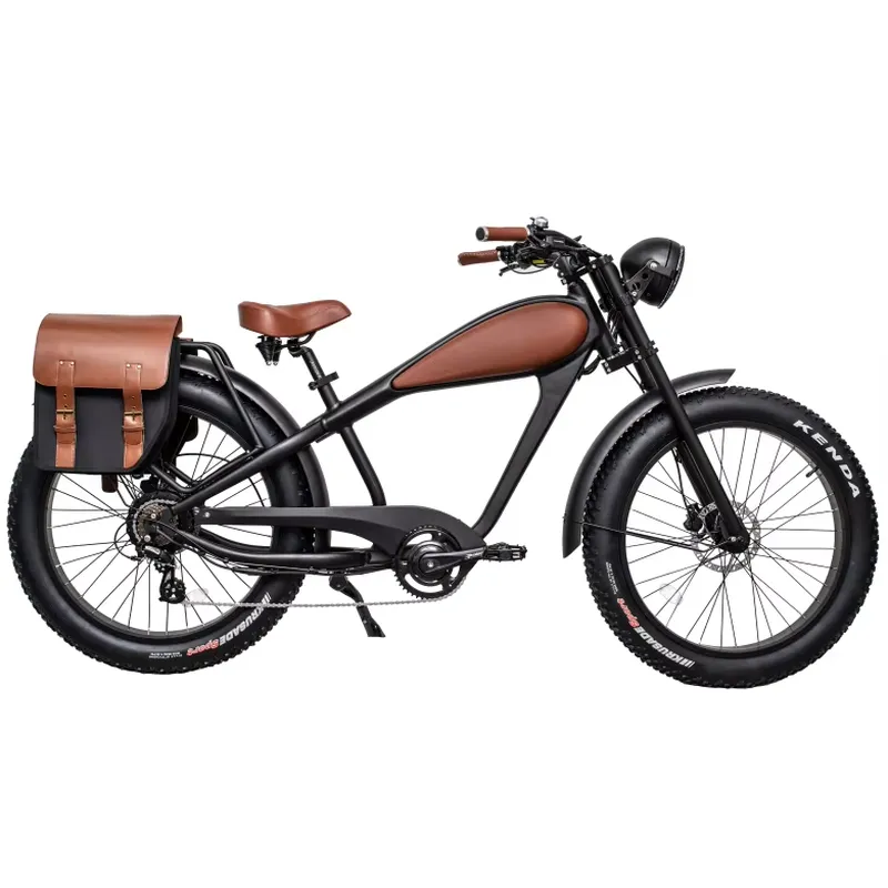 OEM 750W 핫 전기 빈티지 자전거 프로모션 중,  - Road Bike Tire 리뷰 및 가격